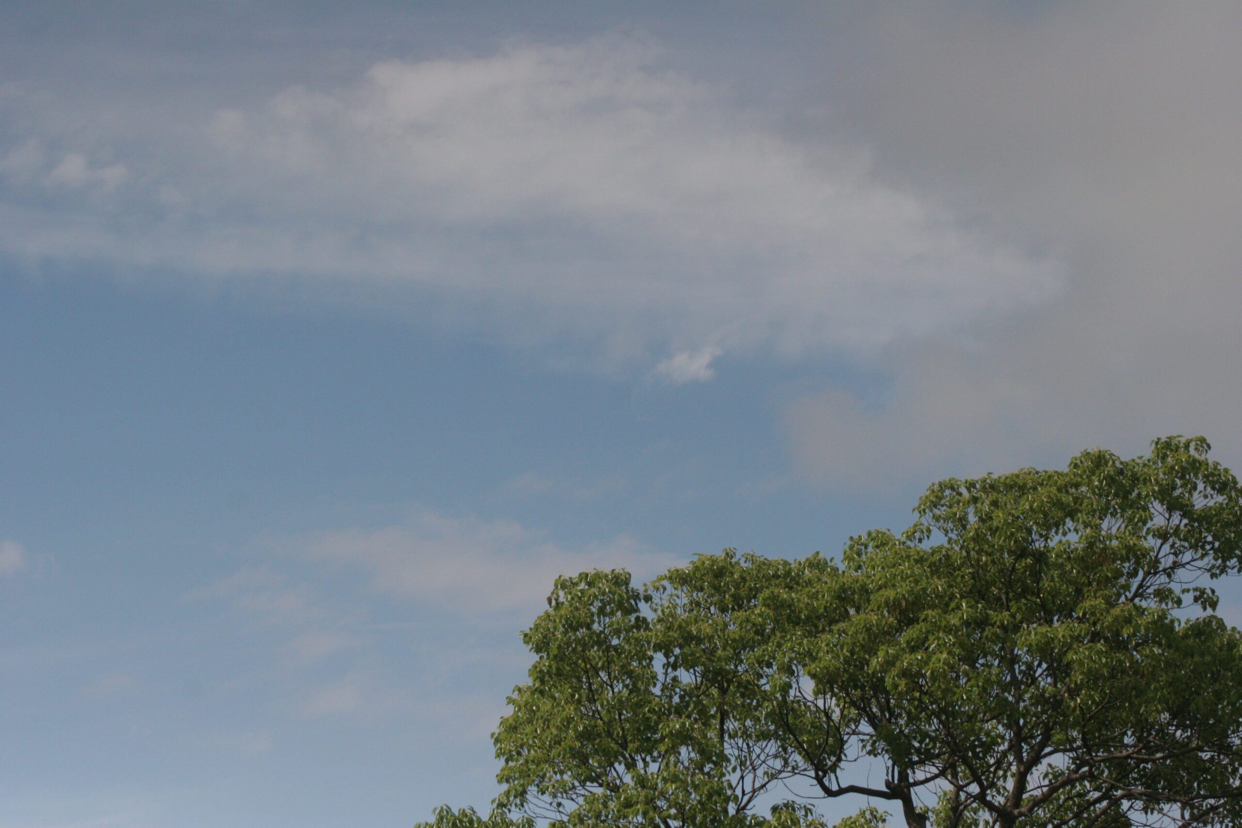 空　2026年6月5日撮影