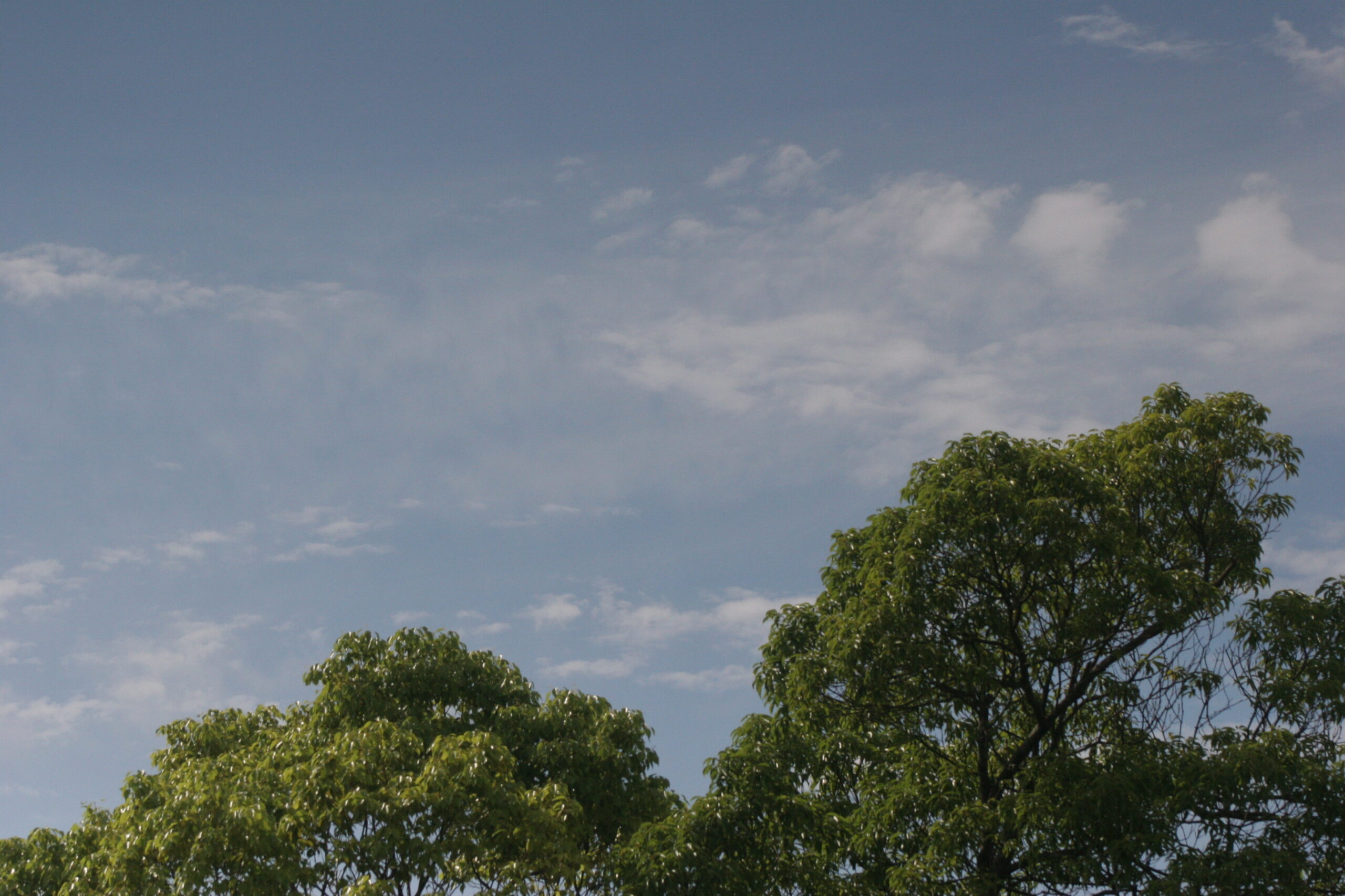 空　2026年6月5日撮影